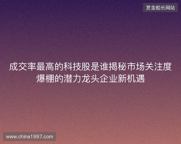 成交率最高的科技股是谁揭秘市场关注度爆棚的潜力龙头企业新机遇